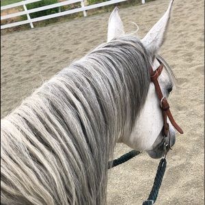 Meet your Posher, Rebekah